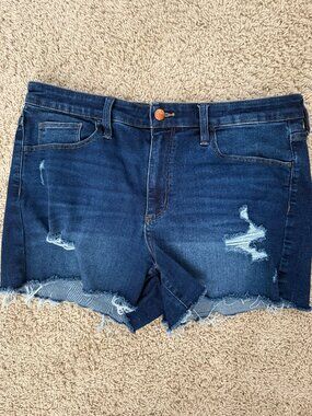 Universal Threads Denim Shorts